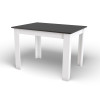 NP asztal 120x80 Fekete + fehér (100154071)