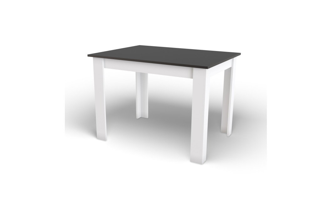 NP asztal 120x80 Fekete + fehér (100154071)