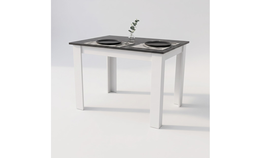 NP asztal 120x80 Fekete + fehér (100154071)